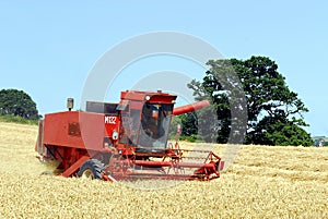 Harvest time