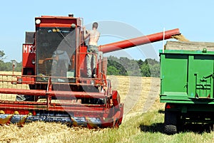 Harvest time