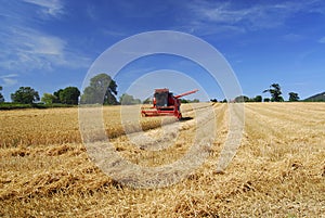 Harvest time