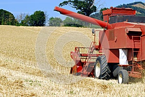 Harvest time