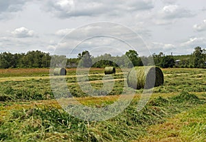 Harvest time