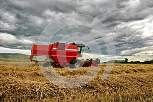 Harvest Time