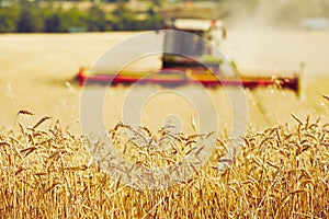 Harvest time