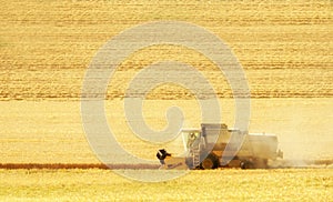 Harvest time