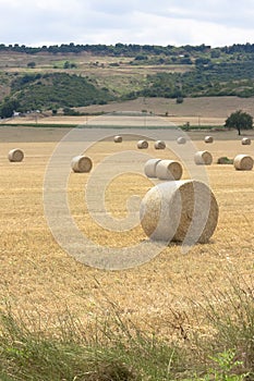 Harvest time with bales of hay on a cloudy day