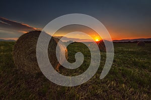 Harvest time, bundles in the field