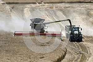 Harvest time - Combine Harvester