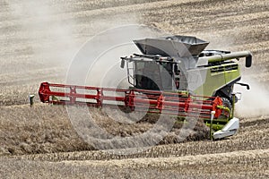 Harvest time - Combine Harvester