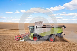 Harvest Time: Combine Harvester in Wheat Field