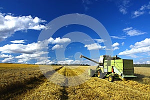 Harvest time ,combine machin and blue sky