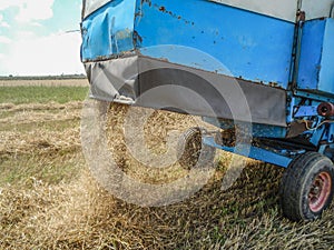 harvest time, combines the field to gather the wheat