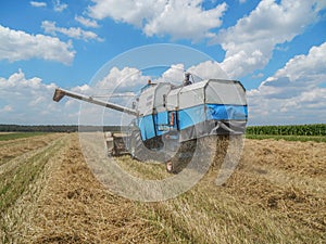 harvest time, combines the field to gather the wheat