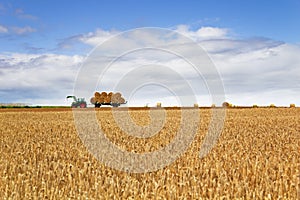 Harvest time photo