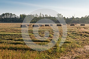 Harvest Time Farmers Field Hay Bales