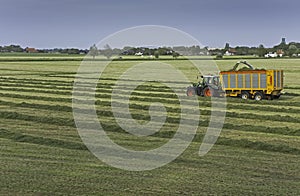 Harvest time