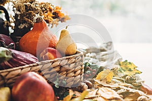 Harvest time. Happy Thanksgiving .Pumpkin and vegetables in bask