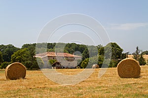 Harvest time: strawbales and stubbles