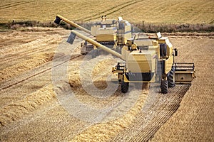 Harvest time of wheat crop with two combine harvesters