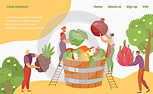 Harvest tropical organic natural fruit, tiny character farmer worker concept landing page, cartoon vector illustration