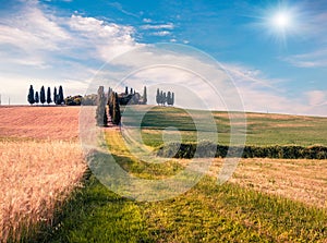 Harvest in Tuscany. Typical Tuscan view with farmhouse and field of wheat. Sunny summer view of Italian countryside, Val d`Orcia