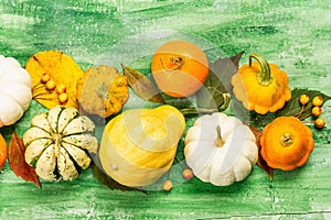 Harvest of various ripe pumpkins. Colorful festive background, Thanksgiving or Halloween Day