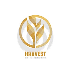 Harvest - vector logo template creative illustration. Cereal organic sign. Ecology symbol. Bio nature insignia. Agriculture.