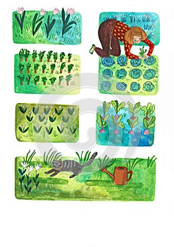 Harvest and vegetable garden illustration