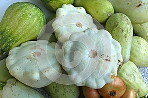 Harvest of vegetables: bush pumpkins, vegetable marrows, onions