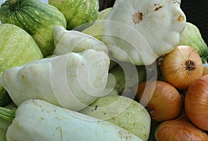 Harvest of vegetables: bush pumpkins, vegetable marrows, onions