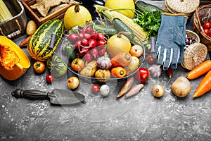 Harvest vegetables with herb kitchen garden photo