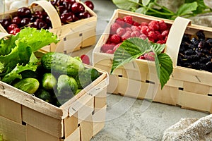 Harvest vegetables in wooden basket on light background