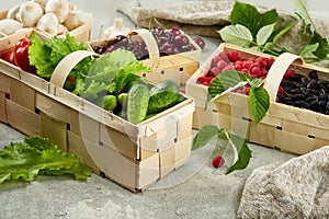 Harvest vegetables in wooden basket on light background