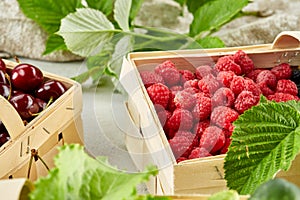 Harvest vegetables in wooden basket on light background