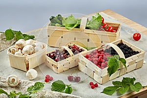 Harvest vegetables in wooden basket on light background