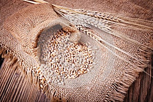 Harvest of wheat and ears