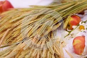 The harvest of wheat, ears of wheat.