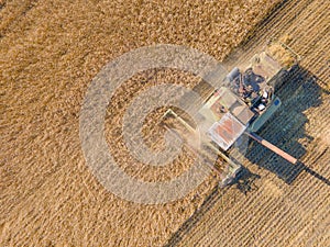 Harvest wheat grain and crop aerial view.Harvesting wheat,oats, barley in fields,ranches and farmlands.Combines mow in the field. photo
