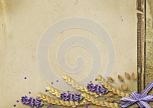 Harvest of wheat spikelets and lavender on vintage background