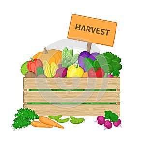 Harvest in a wooden box with board. Crate with autumn vegetables. Fresh Organic food from the farm.