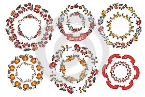 Harvest wreath set.Fruits,berries,decor elements