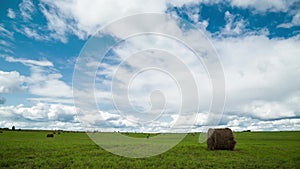 Harvested agricultural field. Time laps landscape