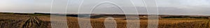 Harvested agriculture field panorama