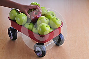 Harvested apples in a little red wagon