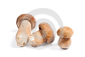 Několik houby známý jako hřib izolované na bílém pozadí 