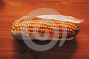 Harvested corn on the cob on wooden table photo