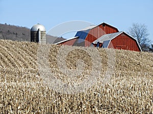 Harvested corn field with red vintage wood gambrel roof barn blue sky in upstate NewYork photo