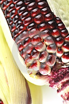 Harvested corn in red and purple