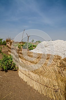 Harvested cotton being piled up in traditional reed stockage under the blue African sky in Benin