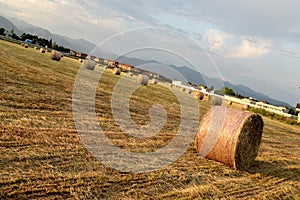 Harvested crop field at dusk