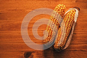 Harvested ear of corn on wooden background photo